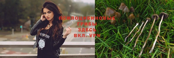 крисы Остров