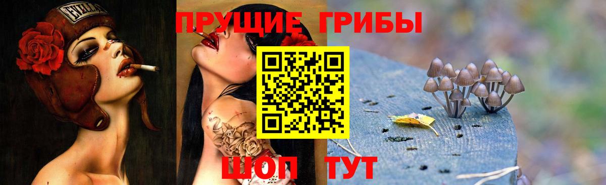 Галлюциногенные грибы Psilocybine cubensis  Псилоцибиновые грибы Psilocybine cubensis  Вход с VPN  Алапаевск 